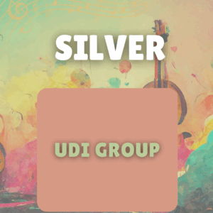 Silver sponsor - UDI Group